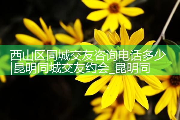 ɽͬǽѯ绰